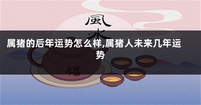 属猪的后年运势怎么样,属猪人未来几年运势