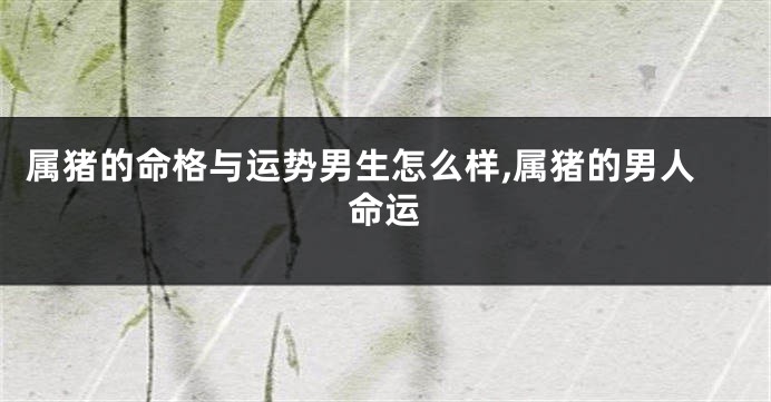 属猪的命格与运势男生怎么样,属猪的男人命运
