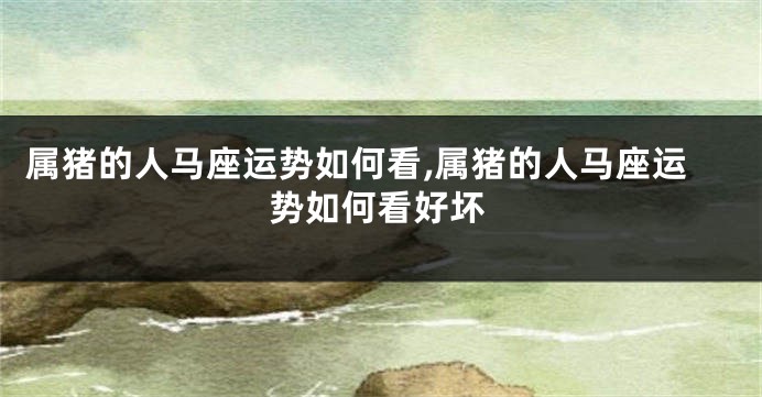 属猪的人马座运势如何看,属猪的人马座运势如何看好坏