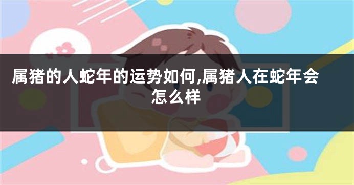 属猪的人蛇年的运势如何,属猪人在蛇年会怎么样