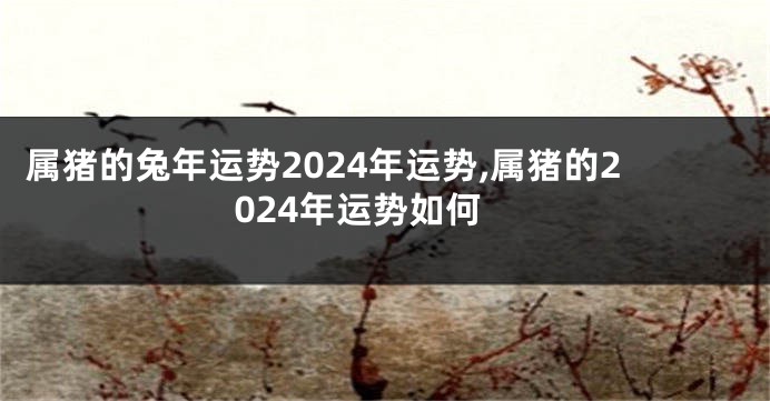 属猪的兔年运势2024年运势,属猪的2024年运势如何