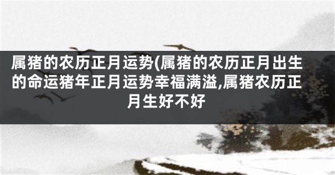 属猪的农历正月运势(属猪的农历正月出生的命运猪年正月运势幸福满溢,属猪农历正月生好不好