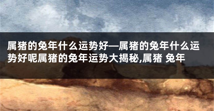 属猪的兔年什么运势好—属猪的兔年什么运势好呢属猪的兔年运势大揭秘,属猪 兔年