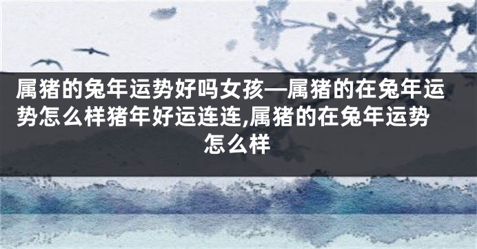 属猪的兔年运势好吗女孩—属猪的在兔年运势怎么样猪年好运连连,属猪的在兔年运势怎么样