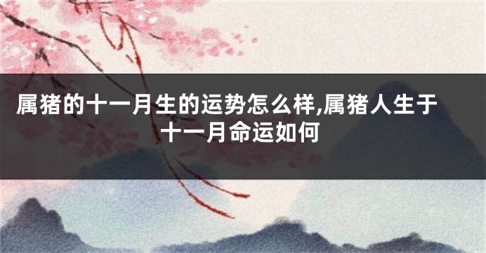 属猪的十一月生的运势怎么样,属猪人生于十一月命运如何