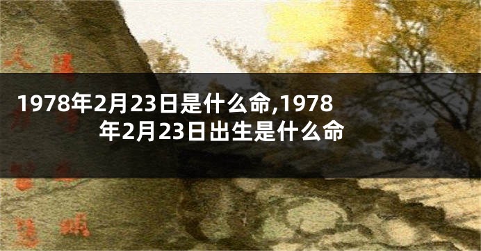 1978年2月23日是什么命,1978年2月23日出生是什么命