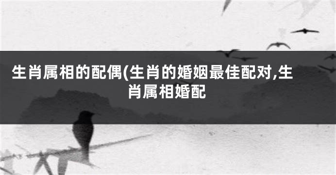 生肖属相的配偶(生肖的婚姻最佳配对,生肖属相婚配