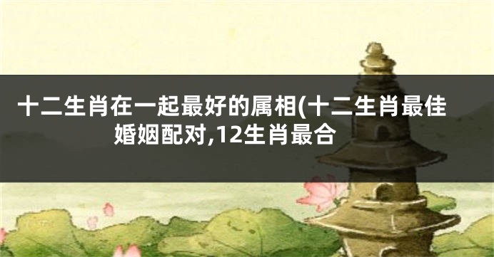 十二生肖在一起最好的属相(十二生肖最佳婚姻配对,12生肖最合