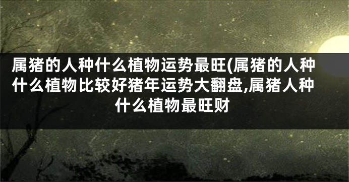 属猪的人种什么植物运势最旺(属猪的人种什么植物比较好猪年运势大翻盘,属猪人种什么植物最旺财