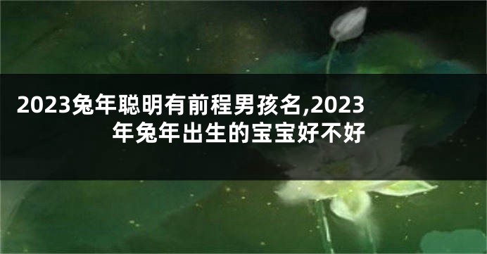 2023兔年聪明有前程男孩名,2023年兔年出生的宝宝好不好