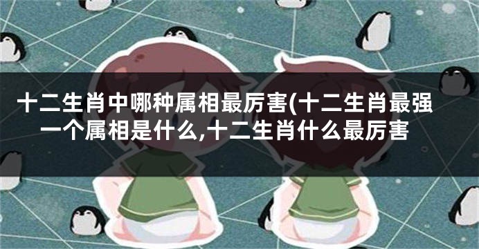 十二生肖中哪种属相最厉害(十二生肖最强一个属相是什么,十二生肖什么最厉害