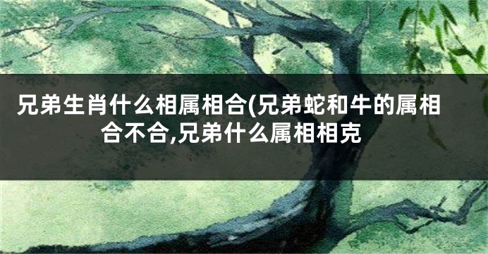 兄弟生肖什么相属相合(兄弟蛇和牛的属相合不合,兄弟什么属相相克