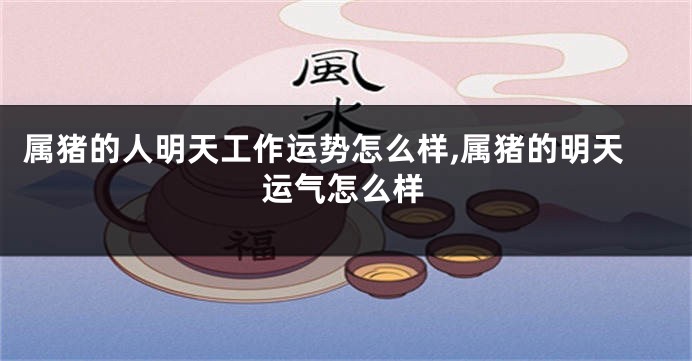 属猪的人明天工作运势怎么样,属猪的明天运气怎么样