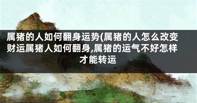 属猪的人如何翻身运势(属猪的人怎么改变财运属猪人如何翻身,属猪的运气不好怎样才能转运
