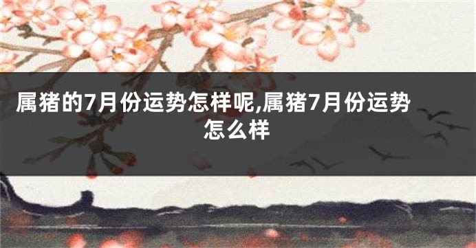 属猪的7月份运势怎样呢,属猪7月份运势怎么样