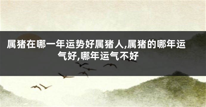 属猪在哪一年运势好属猪人,属猪的哪年运气好,哪年运气不好