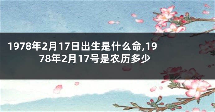 1978年2月17日出生是什么命,1978年2月17号是农历多少
