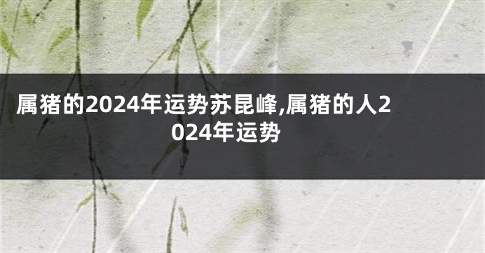 属猪的2024年运势苏昆峰,属猪的人2024年运势