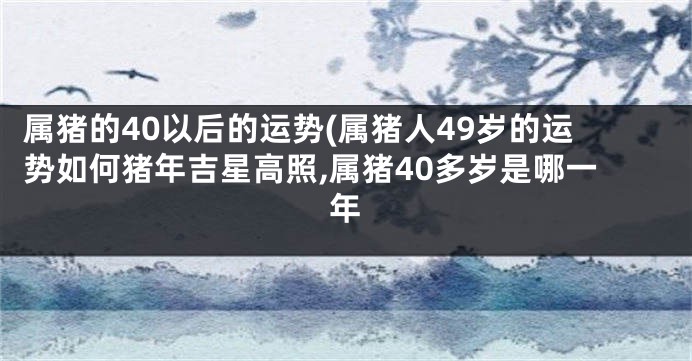 属猪的40以后的运势(属猪人49岁的运势如何猪年吉星高照,属猪40多岁是哪一年