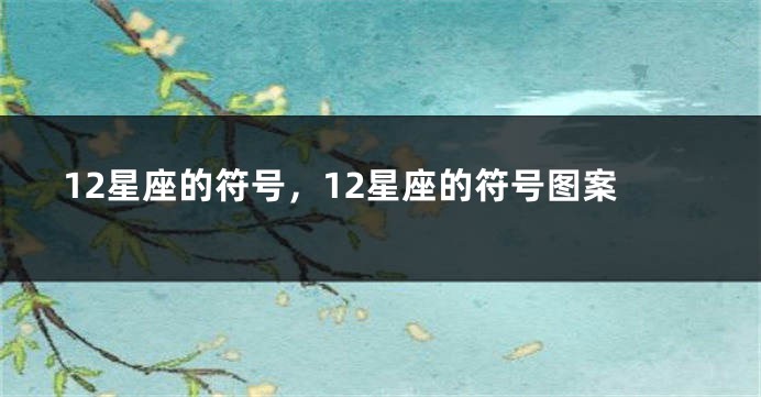 12星座的符号，12星座的符号图案
