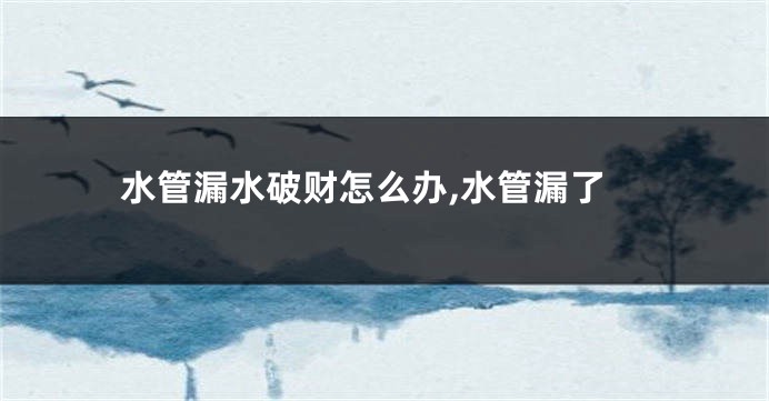 水管漏水破财怎么办,水管漏了