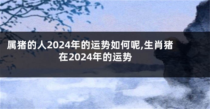 属猪的人2024年的运势如何呢,生肖猪在2024年的运势