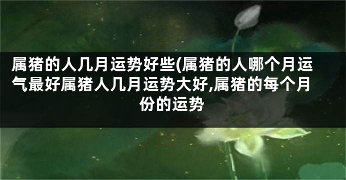属猪的人几月运势好些(属猪的人哪个月运气最好属猪人几月运势大好,属猪的每个月份的运势