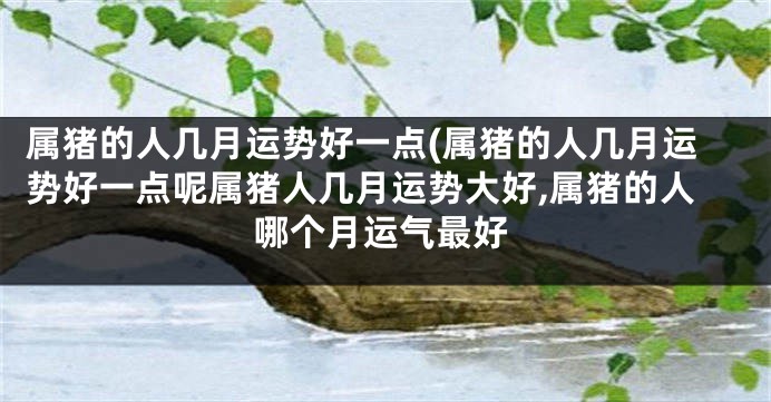 属猪的人几月运势好一点(属猪的人几月运势好一点呢属猪人几月运势大好,属猪的人哪个月运气最好