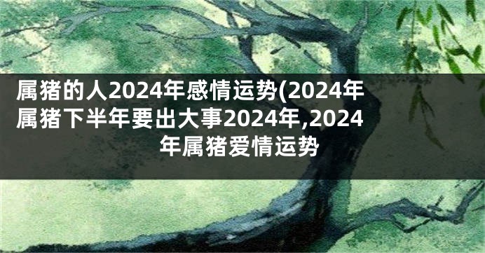 属猪的人2024年感情运势(2024年属猪下半年要出大事2024年,2024年属猪爱情运势