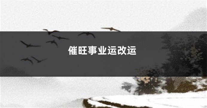 催旺事业运改运