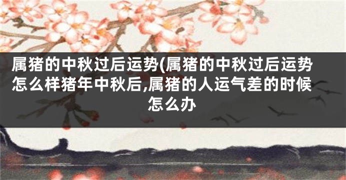 属猪的中秋过后运势(属猪的中秋过后运势怎么样猪年中秋后,属猪的人运气差的时候怎么办