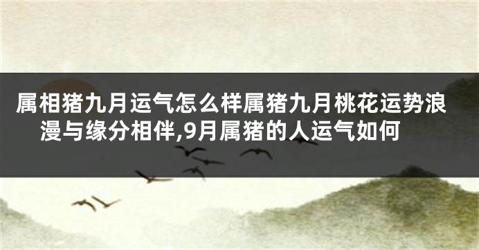 属相猪九月运气怎么样属猪九月桃花运势浪漫与缘分相伴,9月属猪的人运气如何
