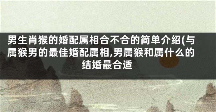 男生肖猴的婚配属相合不合的简单介绍(与属猴男的最佳婚配属相,男属猴和属什么的结婚最合适