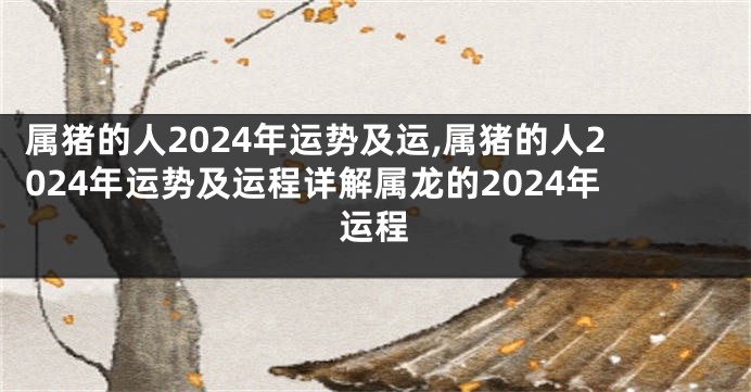 属猪的人2024年运势及运,属猪的人2024年运势及运程详解属龙的2024年运程