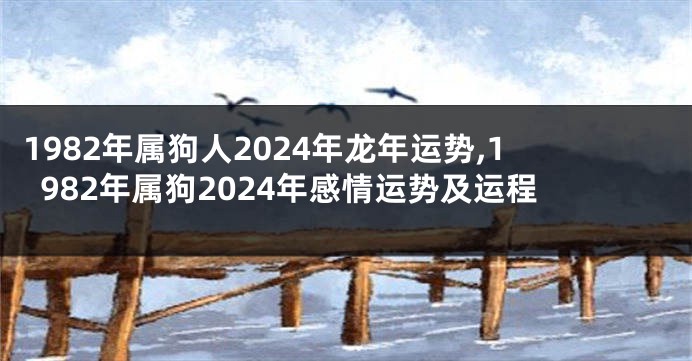 1982年属狗人2024年龙年运势,1982年属狗2024年感情运势及运程