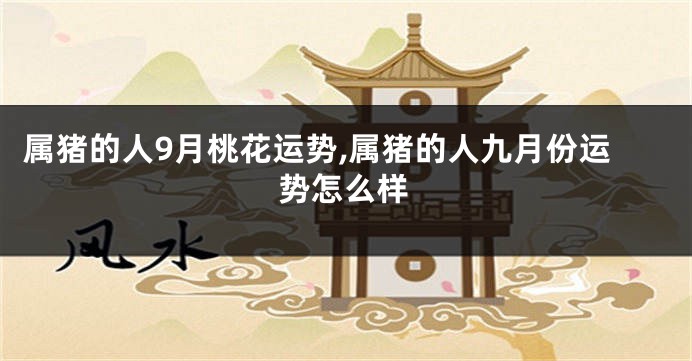 属猪的人9月桃花运势,属猪的人九月份运势怎么样
