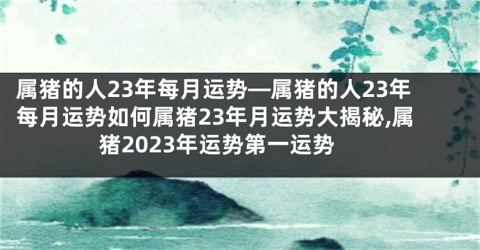 属猪的人23年每月运势—属猪的人23年每月运势如何属猪23年月运势大揭秘,属猪2023年运势第一运势