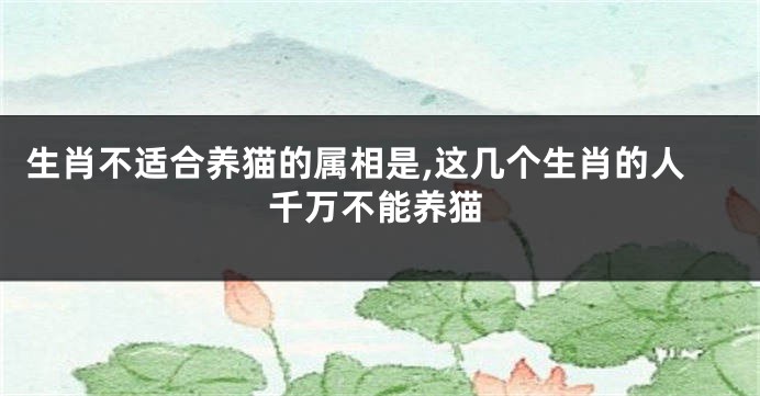 生肖不适合养猫的属相是,这几个生肖的人千万不能养猫