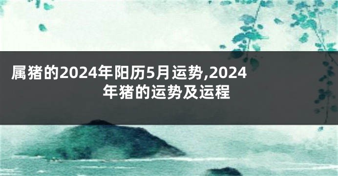 属猪的2024年阳历5月运势,2024年猪的运势及运程
