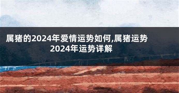 属猪的2024年爱情运势如何,属猪运势2024年运势详解