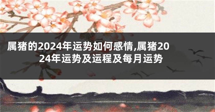 属猪的2024年运势如何感情,属猪2024年运势及运程及每月运势