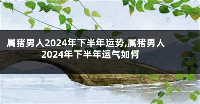 属猪男人2024年下半年运势,属猪男人2024年下半年运气如何