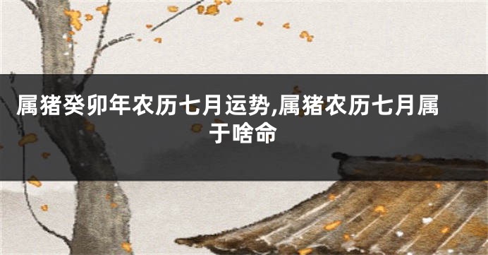 属猪癸卯年农历七月运势,属猪农历七月属于啥命