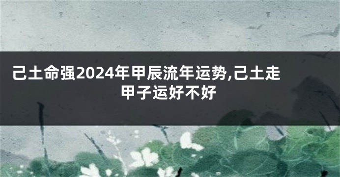 己土命强2024年甲辰流年运势,己土走甲子运好不好