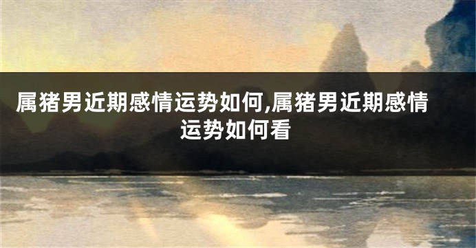 属猪男近期感情运势如何,属猪男近期感情运势如何看