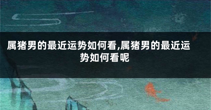 属猪男的最近运势如何看,属猪男的最近运势如何看呢