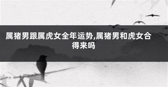 属猪男跟属虎女全年运势,属猪男和虎女合得来吗