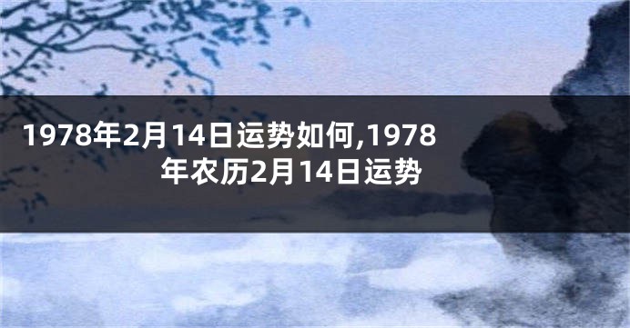 1978年2月14日运势如何,1978年农历2月14日运势