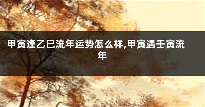 甲寅逢乙巳流年运势怎么样,甲寅遇壬寅流年
