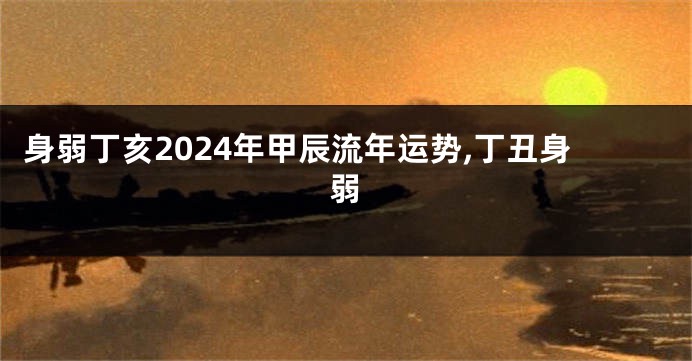 身弱丁亥2024年甲辰流年运势,丁丑身弱